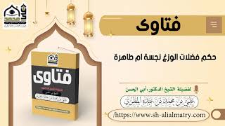 حكم فضلات الوزغ نجسة ام طاهرة
