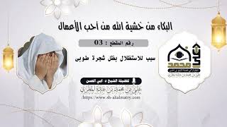 سبب للاستظلال بظل شجرة طوبى